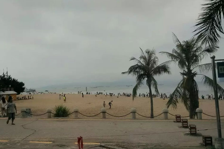 椰风海韵.jpg